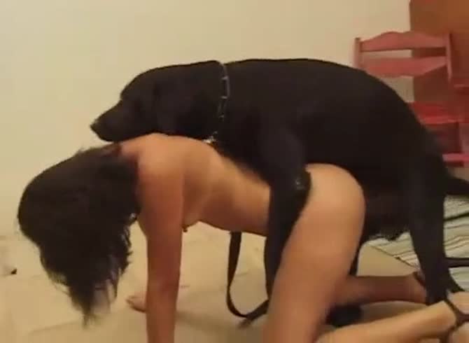 Video :Petite babe got black dog banging her from behind